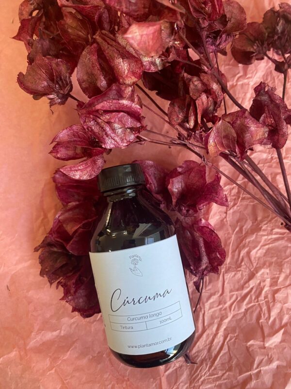 Tintura hidroalcoolica Cúrcuma - 100mL