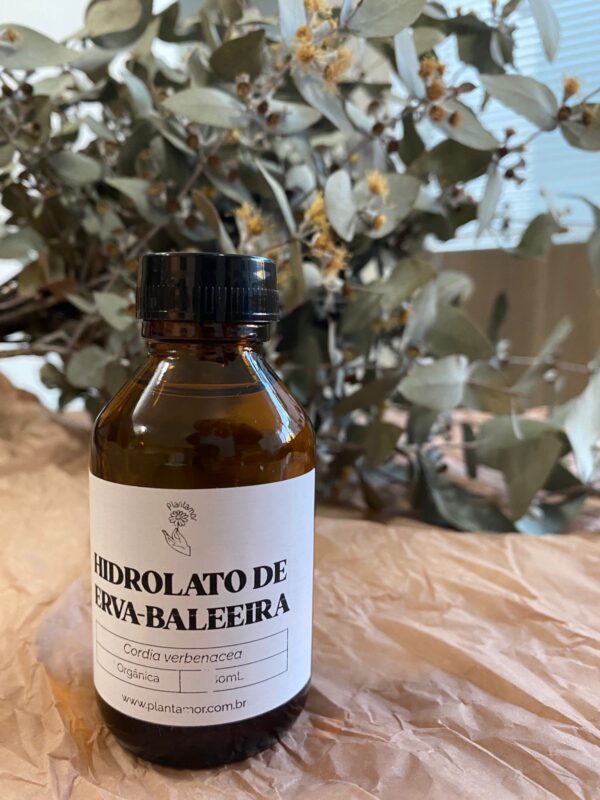 Hidrolato de Erva-baleeira - 60mL