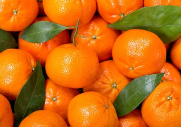 Folhas de bergamoteira - Citrus reticulata