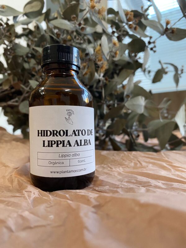 Hidrolato de Lippia Alba- 60 ml
