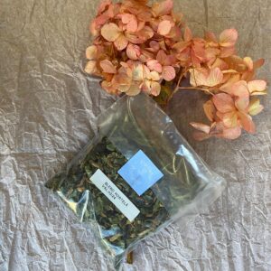 Blend Hortelã