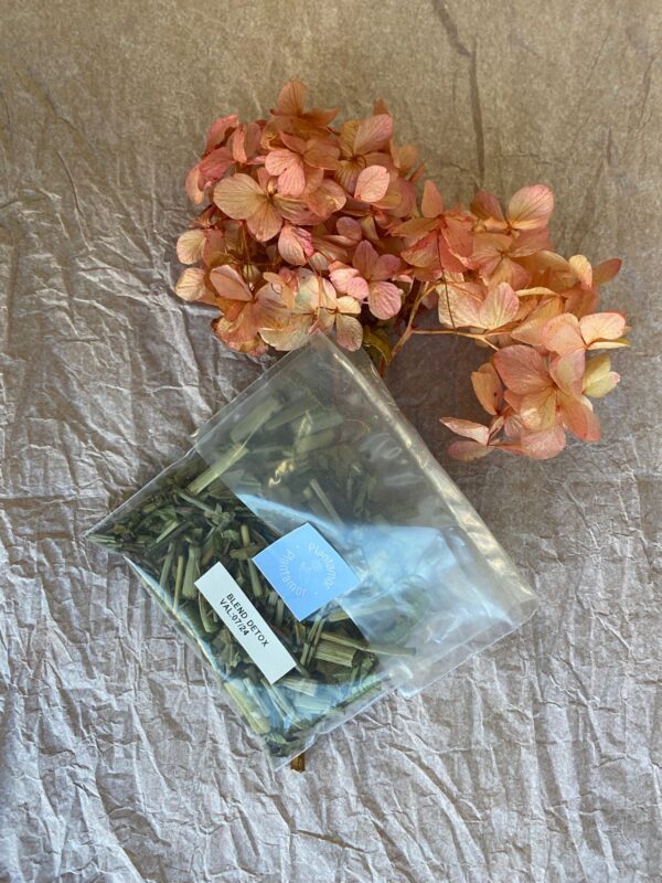 Blend detox